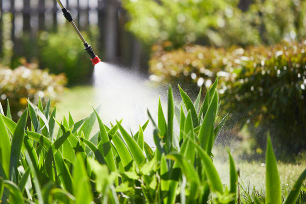 24/7 Emergency Cockroach Control experts in Farrell, PA